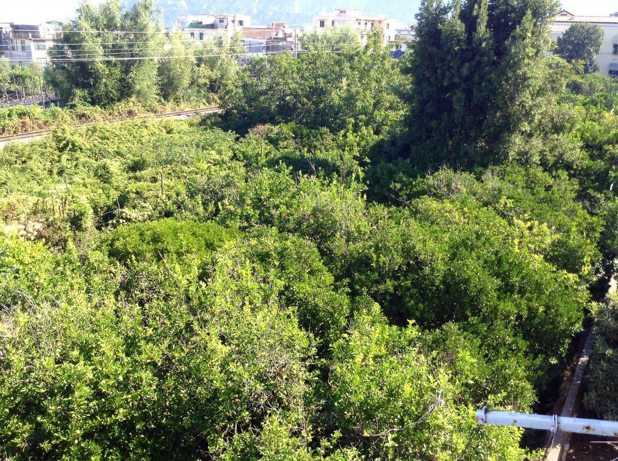 B&B Casa Vienna Sant'Agnello Bagian luar foto